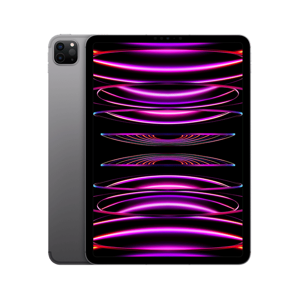 Buy Apple iPad Pro 4th Generation Wi-Fi (11 Inch, 2TB, Space Grey